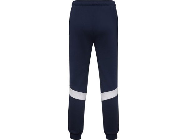 Брюки спортивные Rodas, мужские