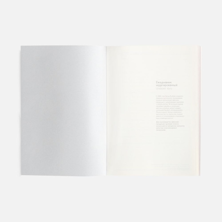 Ежедневник Repute, недатированный, красный