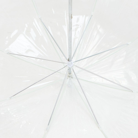 Прозрачный зонт-трость Clear