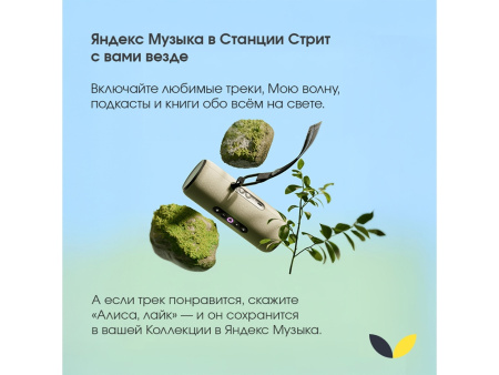 Умная портативная колонка Яндекс Станция Стрит с Алисой, зеленый (YNDX-00030GRN)